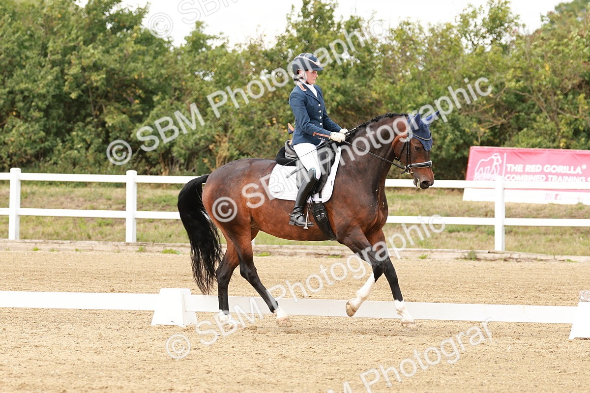 SBM_002188 - Class 11 - Medium 6