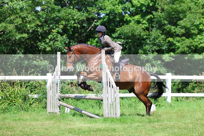 3E7A6950 - Class 30: Novice Working Hunter