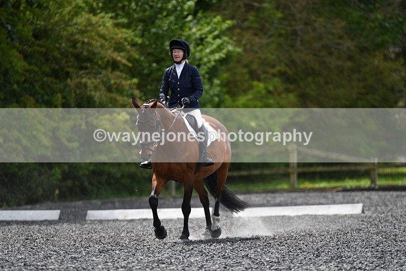 WJ5_0269 - Time 12:24 to 13:01