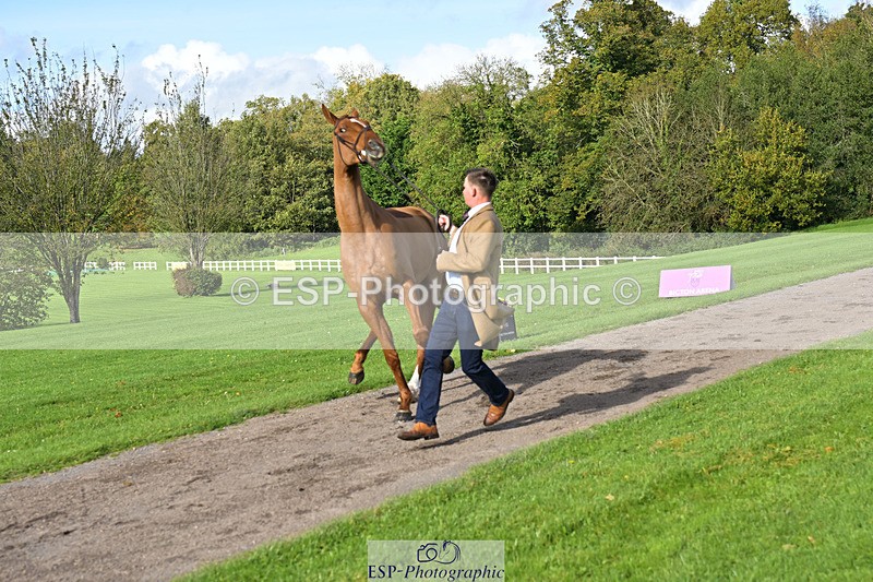 241023-131023-00111 - 054-Matthew.Heath-DASSETT.VENTURE