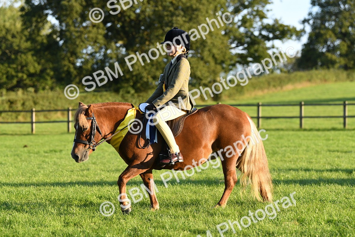 SBM_56487 - 1st Ridden Supreme Championship