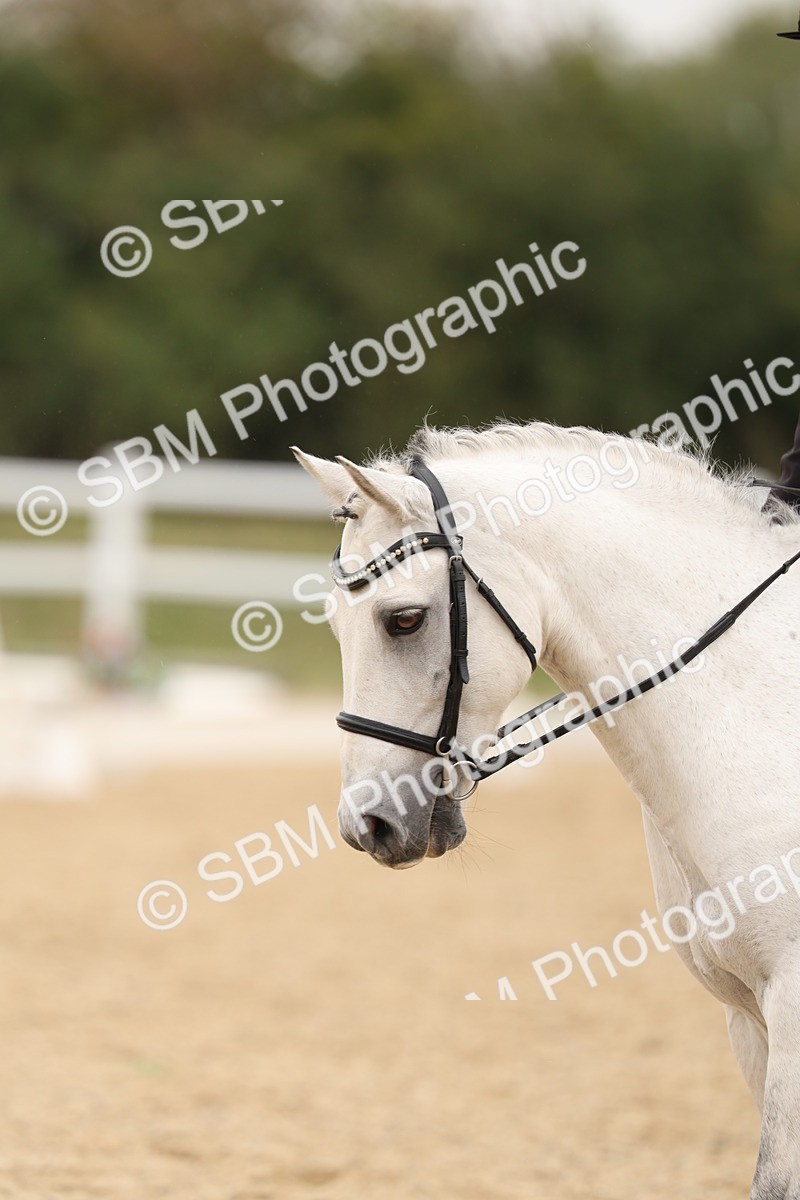 SBM_01082 - Class 8 - Novice 27 Champs