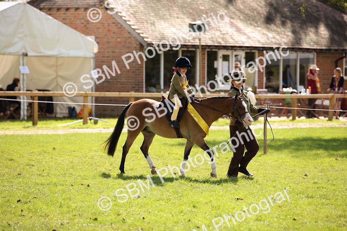 SBM_40896 - Fun Showing Supreme Championship
