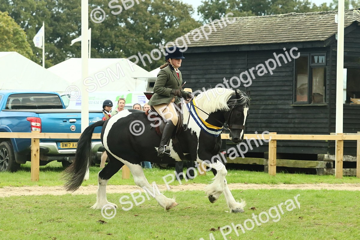 SBM_75173 - Super Supreme Championship