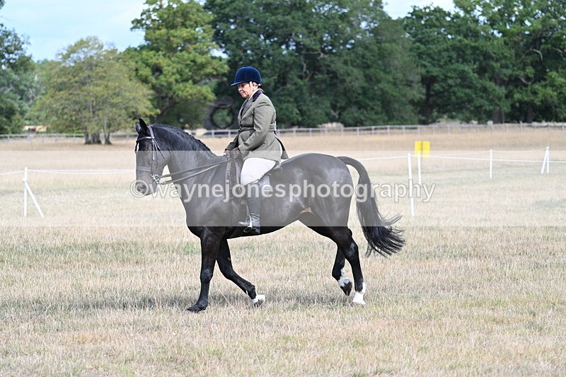 WJ7_6141 - Class 13 Ridden Veterans