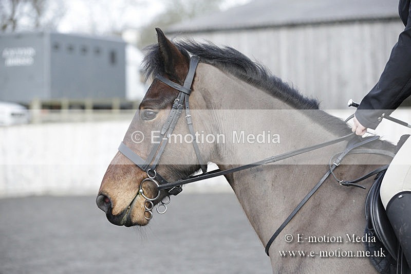 BVRC 050320 0085 - Bourne Valley riding Club Show Jumping Tidworth 08/03/20