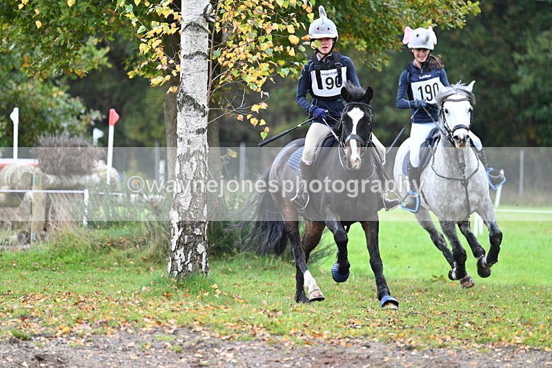 WJ7_2101 - 80cm Cam 2 Pairs Time 12:18 to 12:43