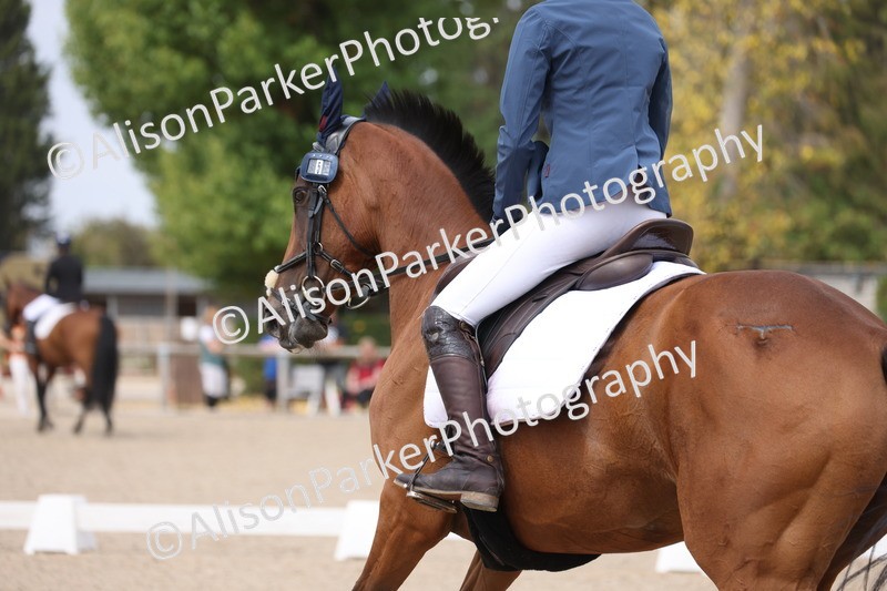 20250819-1314 - Class 4 - Novice 2