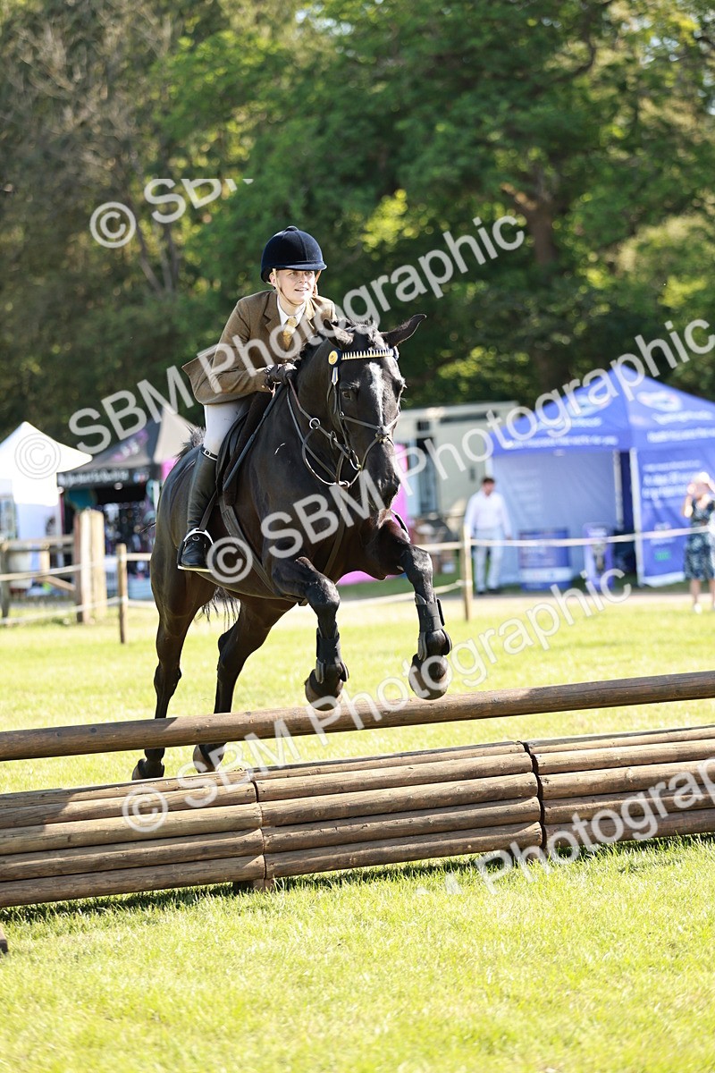 SBM_19163 - Class 115-116 - LIHS BSHA Rising Star Working Hunter & Show Horse