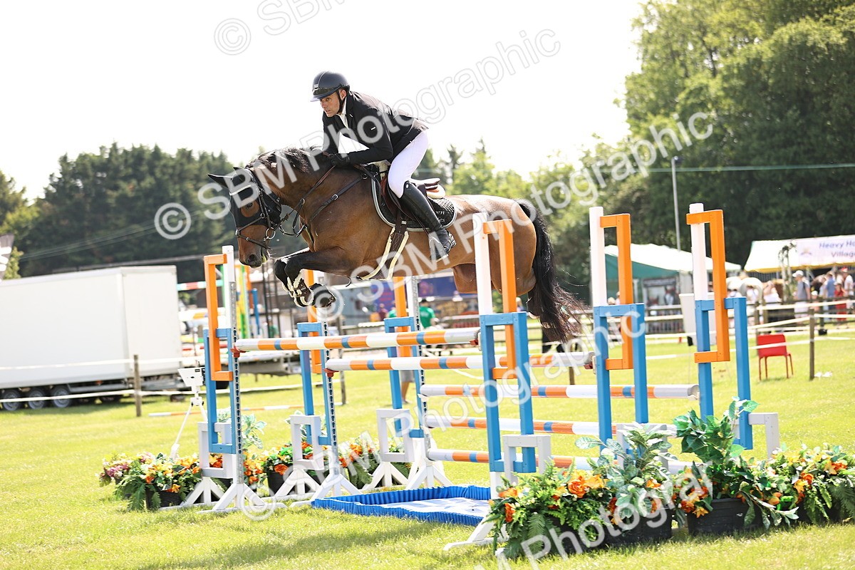 SBM_03268 - Class 201 - British Horse Feedds Speedi Beet HOYS Grade C