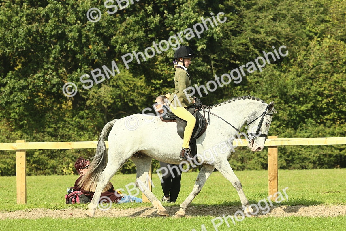 SBM_67426 - S56 - Coloured Pony Ridden