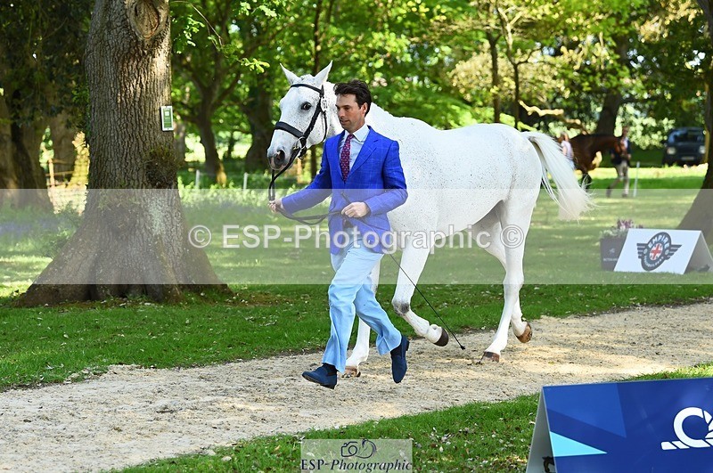 230524-163116-00922 - 163-UVERA_Z-Harry_Meade-WEDTrotUp+DR