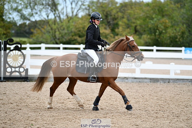 241013B-155555-02068 - Cls 6 80cm