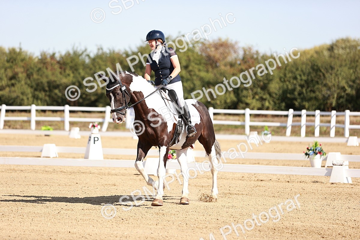 SBM_004317 - Class 12 - Novice 5 - 10.31-11.41