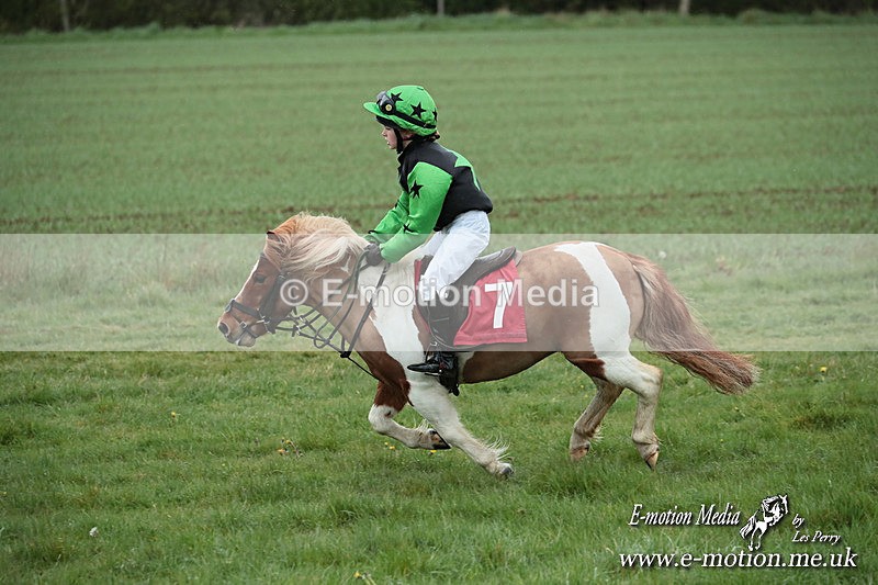 SHETPR 210425 228 - Shetland Ponies Paxford Races 21/04/25