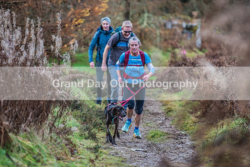 TVU 50  60K-717 - High Terrain Events Tweed Valley 50 & 65K Ultra Trail Races Sunday 19th November 2023