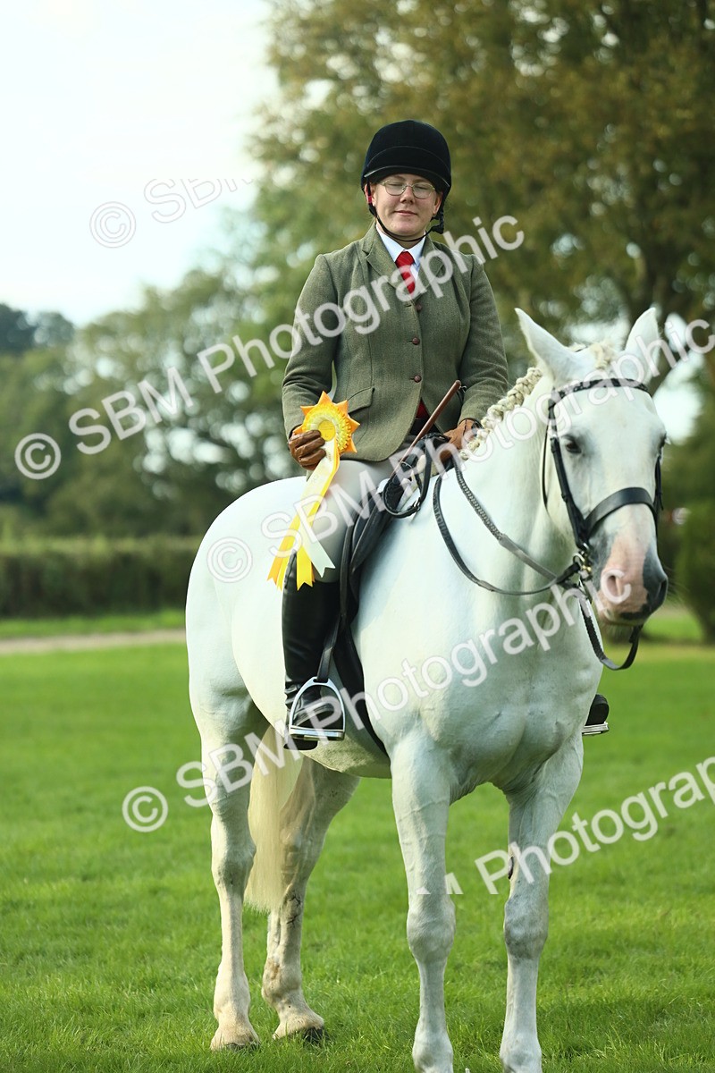 SBM_52238 - S33 - Working Hunter & Working Show Horse