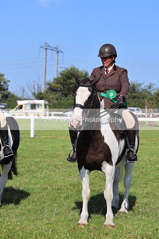 IMG_1610 - Class 30: Ridden Native/Trad Coloured Pony