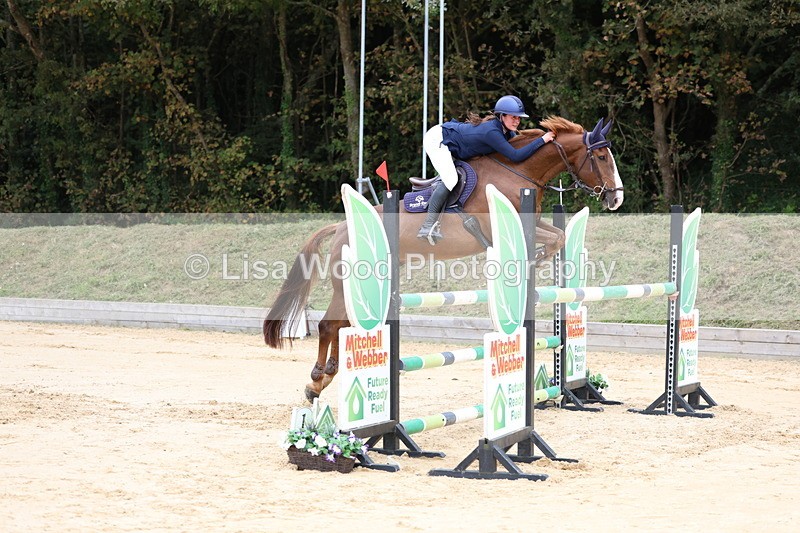 3E7A3344 - Class 9: Senior Foxhunter/1.20 open