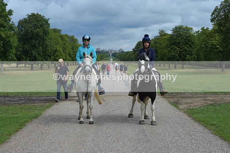 TT3_9173 - Time at Crossing 09:22 to 11:26