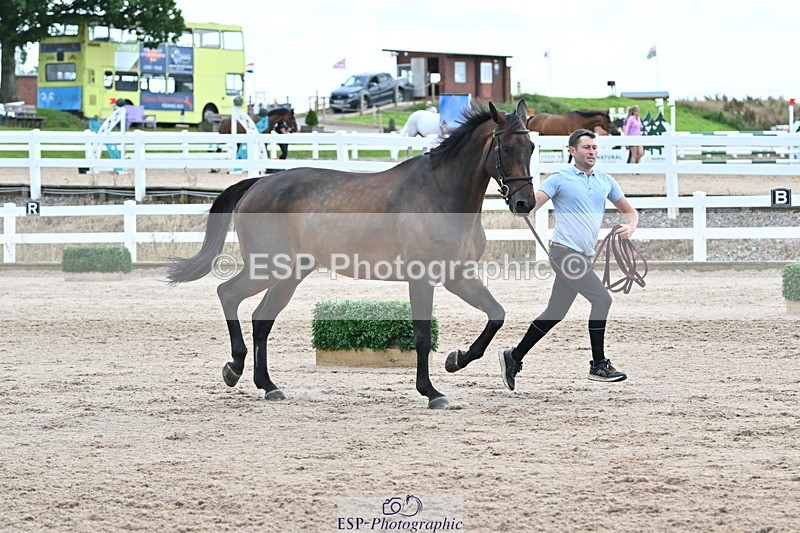 240717A-143245-02122 - Trot Up 2pm to 3pm - This folder is not in time order