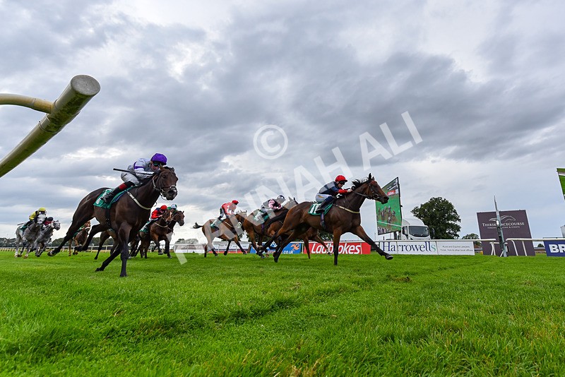 060925-Race 5-Eternal Sunshine-1239 - Race 5