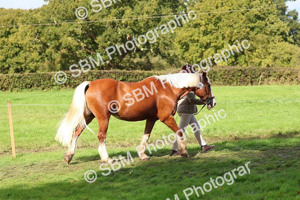 SBM_39405 - S24 - Young Veteran In Hand