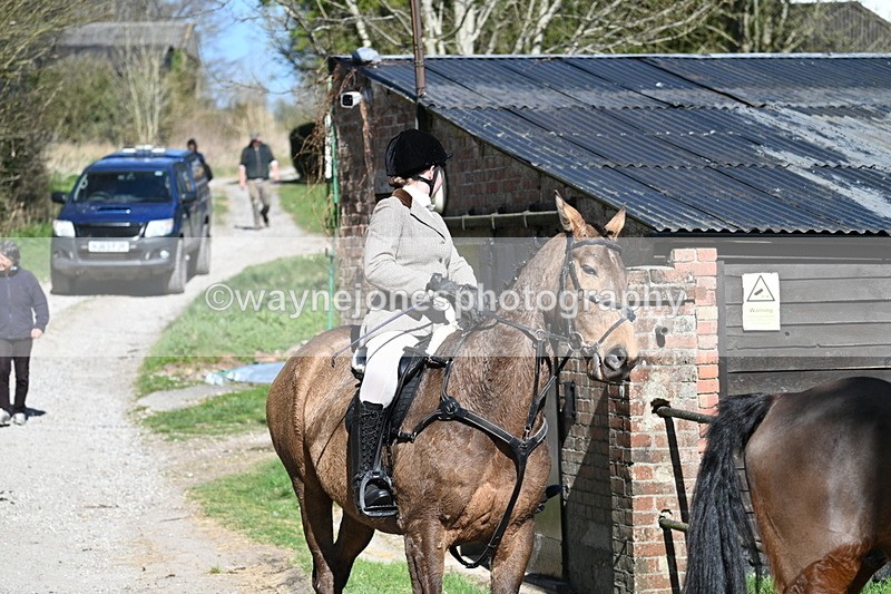 WJ7_9771 - Home for hunt tea !