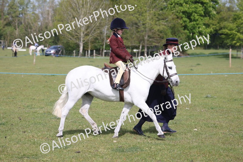 20260426-0593 - Class 31 - Leading Rein