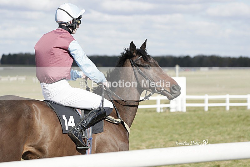 PtP 260223 401 - South & West Wilts Point-to-Point Larkhill 26/02/23