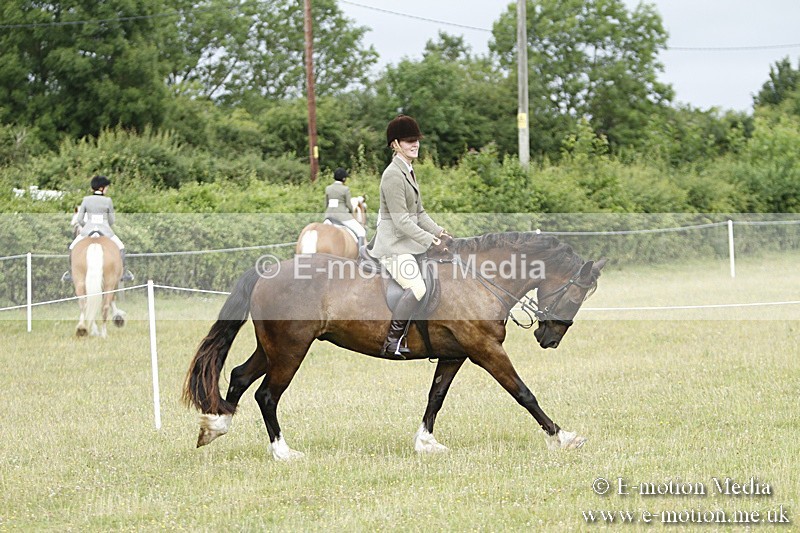 BVR160717-201 - Ring 3 BVRC Show 16/07/17