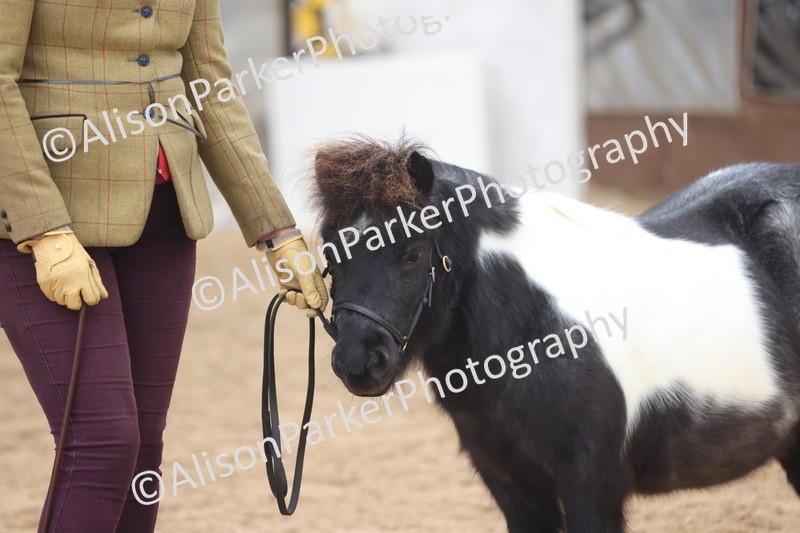 20251109-0255 - Class 11 - 2 and 3 Year Old