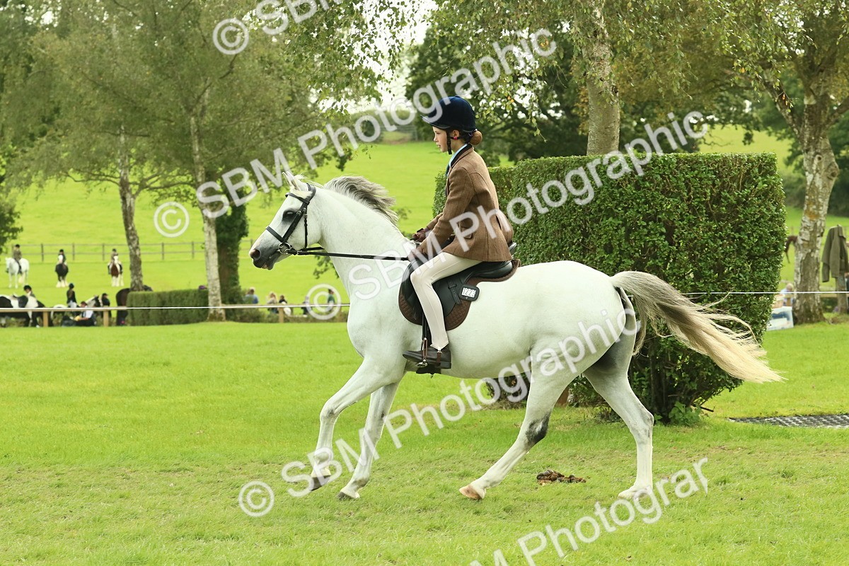 SBM_69920 - S59 - Mountain & Moorland Ridden Small Breeds