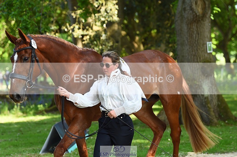 230524-164328-01052 - 112-BILLY_MAPLE-Kitty_King-WEDTrotUp+DR