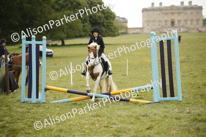20250517-0883 - Class 2 - 30cm Off Lead Rein