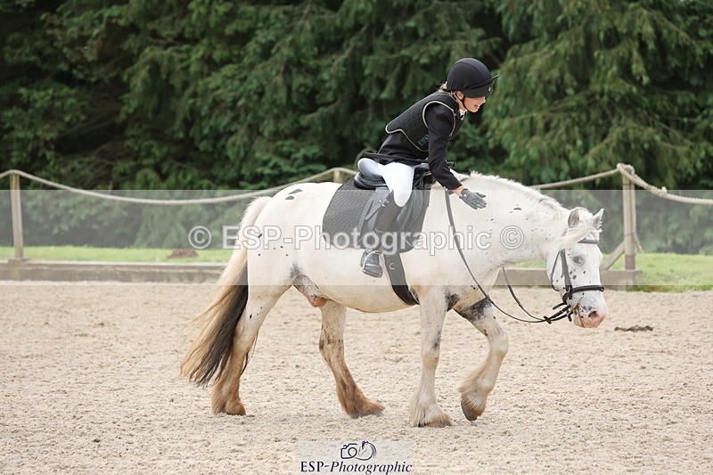 240616-110341-03323 - 60cm