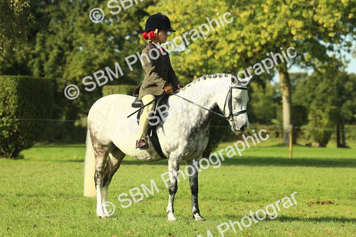 SBM_59211 - S38 - Starters Ridden Showing