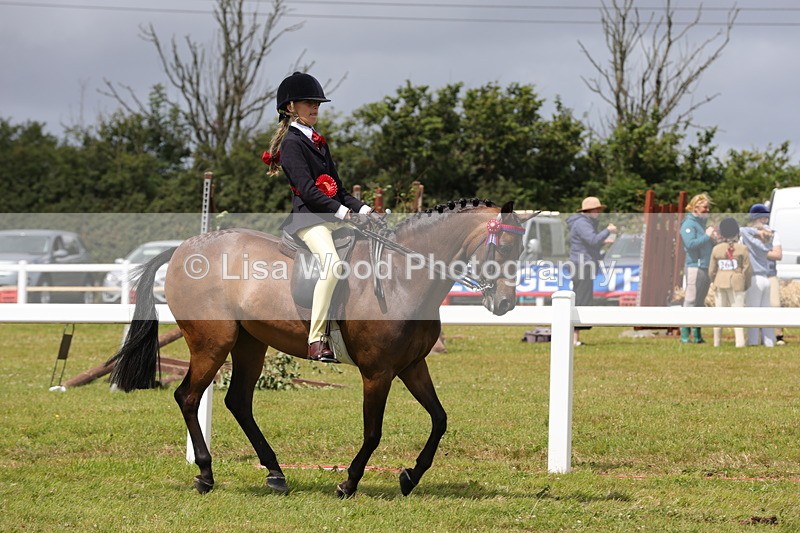 1X9A4233 - Plaited Ridden Championship