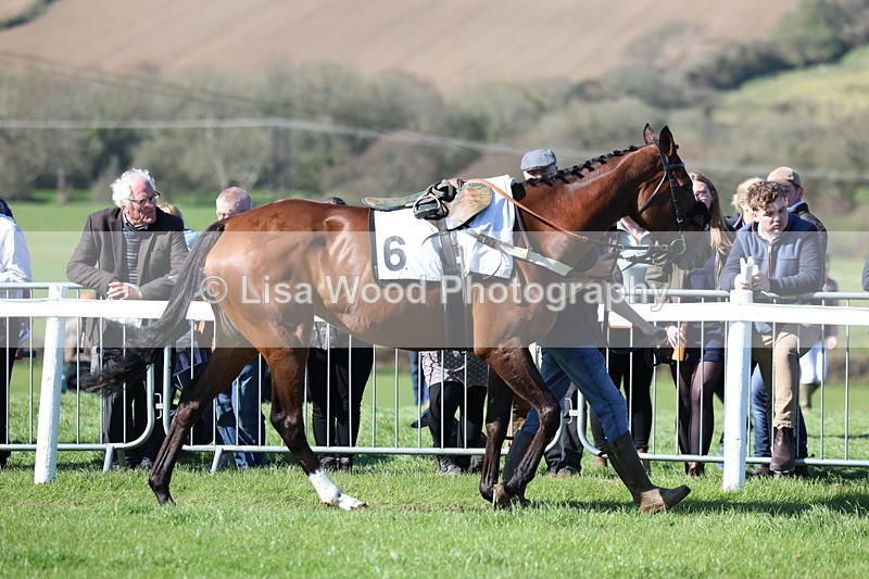 3E7A5617 - Race 6: Maiden (NWFAA)