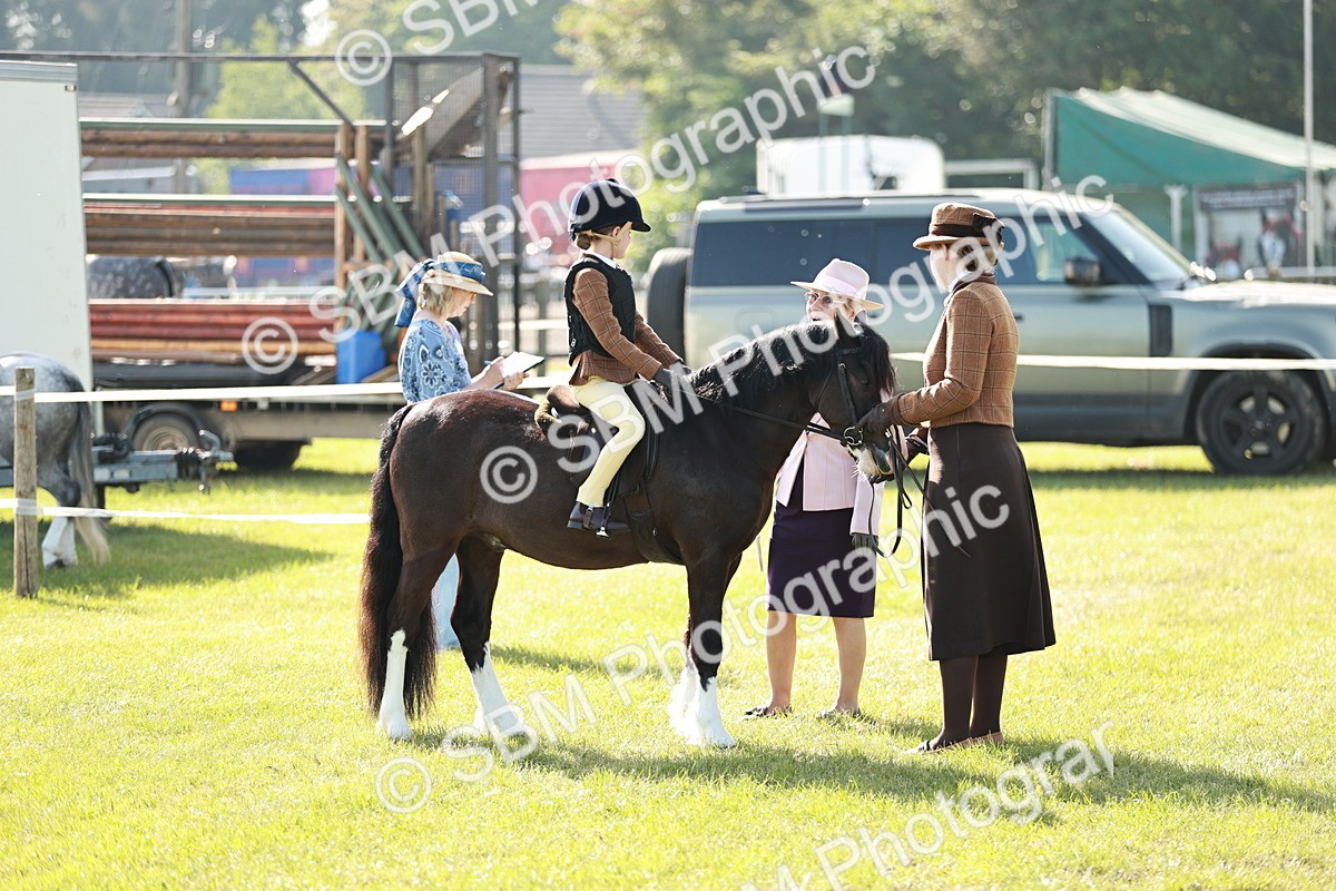 SBM_11277 - Class 106-107 - BSPS LIHS Working Sports Pony