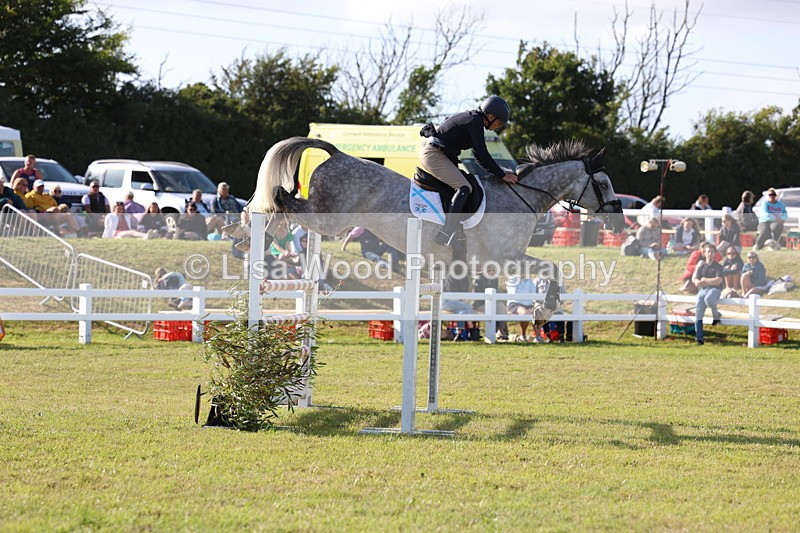 3E7A4413 - Class C: Showjumping Senior Foxhunter