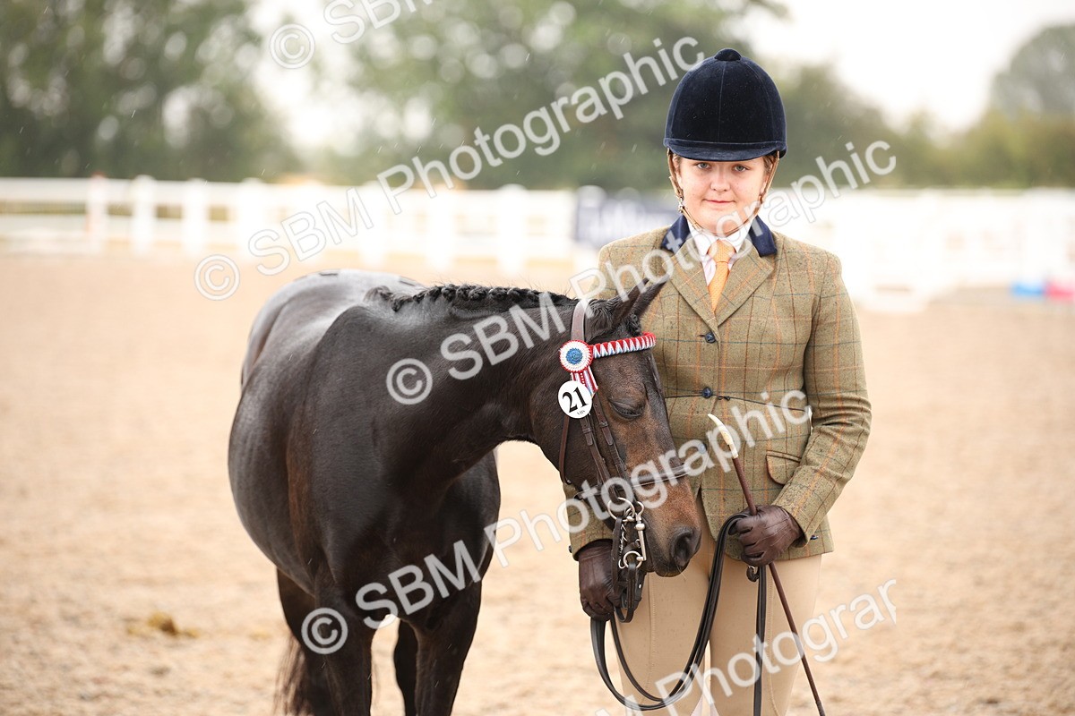 SBM_20140 - Class 702 - IH  Show Horse Pony