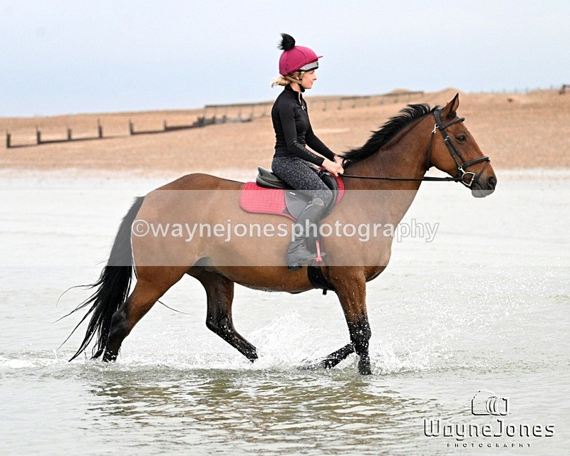 WJ7_9255 - Hayling Island Beach Shoot 22-09-24