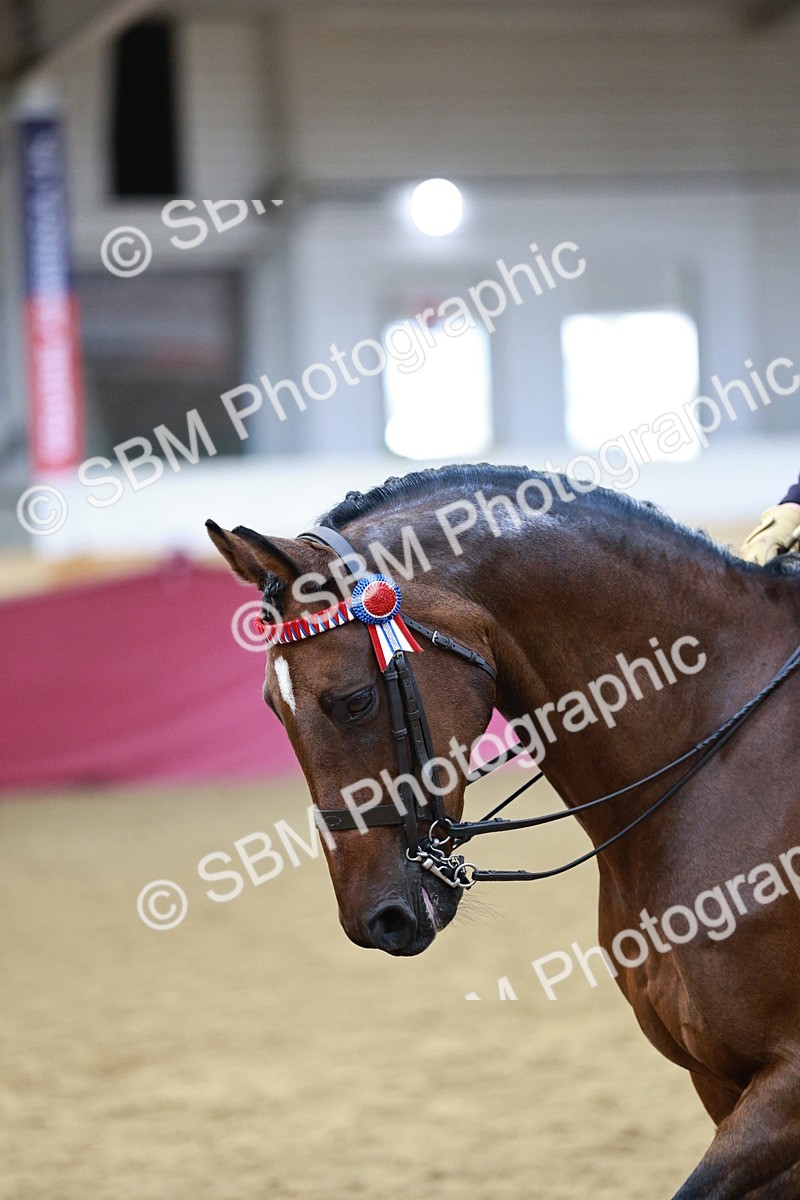 SBM_08265 - Class 11R - Regional Ridden Veteran