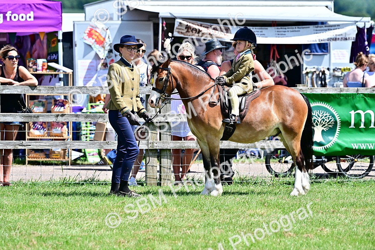 SBM_05836 - Class 59-60 - TSR M&M  Lear Rein and First Ridden Amateur of the year