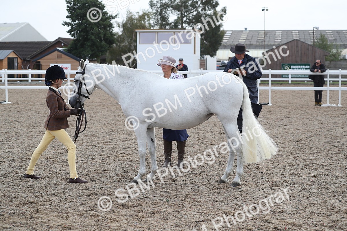 SBM_23133 - Class 605 - 2025 Area - IH Veteran