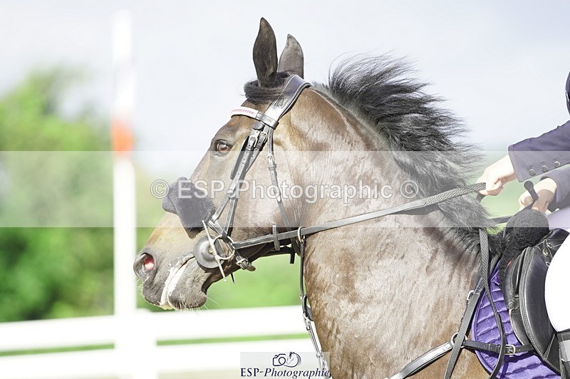 230729A-090306-04125 - Cls 20 British Novice & 90cm Open