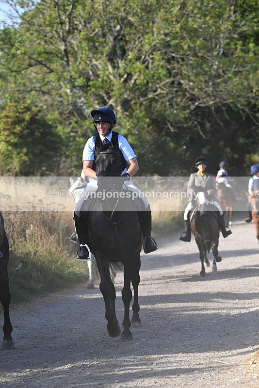 WJ5_5004 - Walk out with the hounds