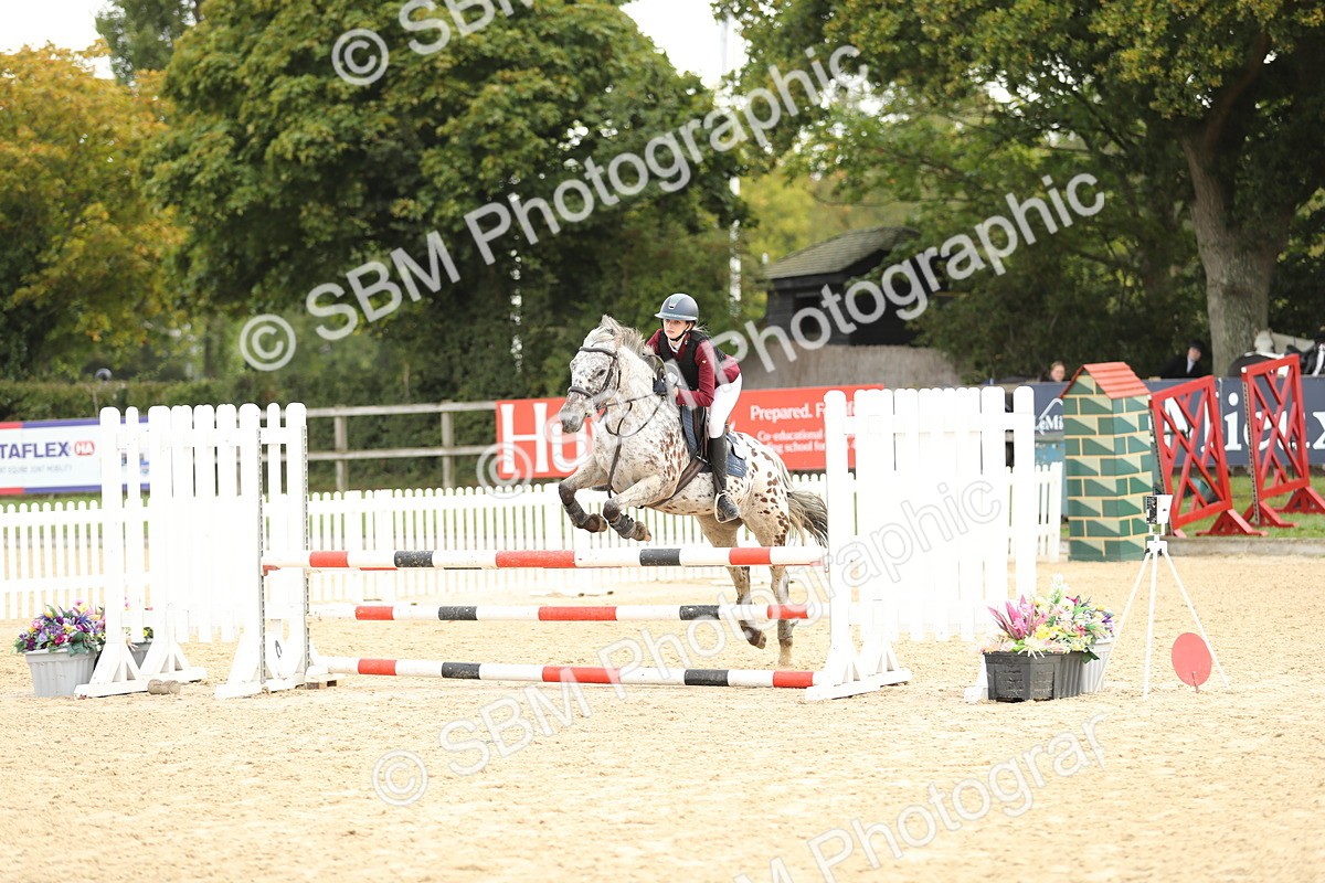 SBM_58562 - J25 - Junior Horse 80cm Championship