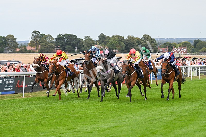 140825-Race 3-Rum Therapy-1027 - Race 3